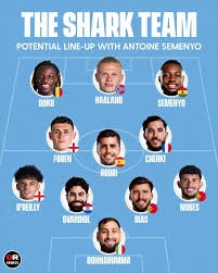 沈祥福、高洪波、胡建平、杨晨、于允等当选北京市足协副主席