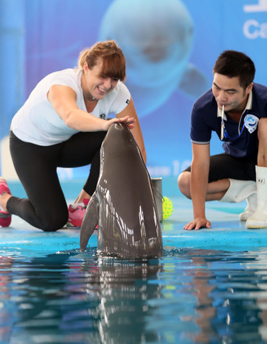 球队的能力 球队的能力